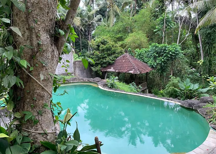 Guest house Wonder-land Ubud (Bali)
