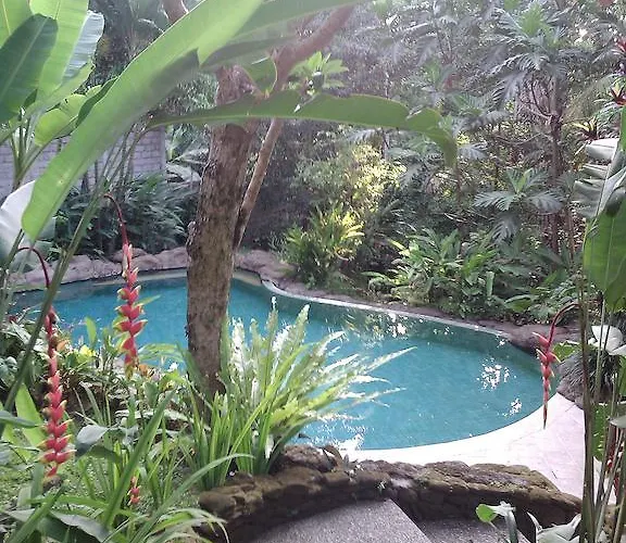 Guest house Wonder-land