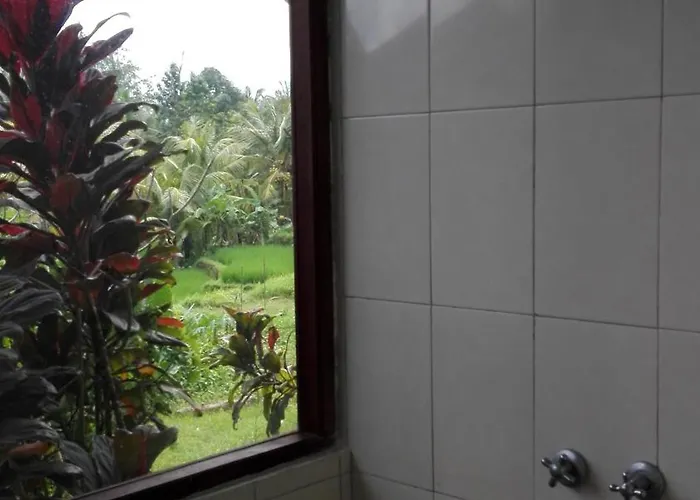 Wonder-land 3* Ubud (Bali)