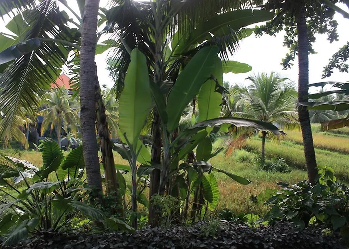 Guest house Wonder-land
