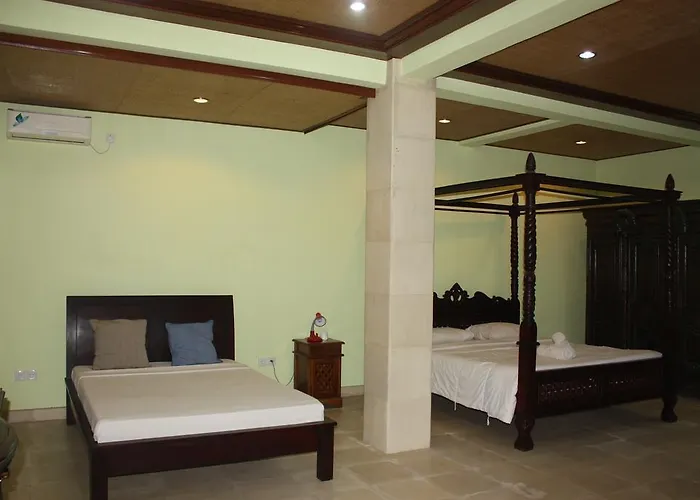 Guest house Wonder-land 3*