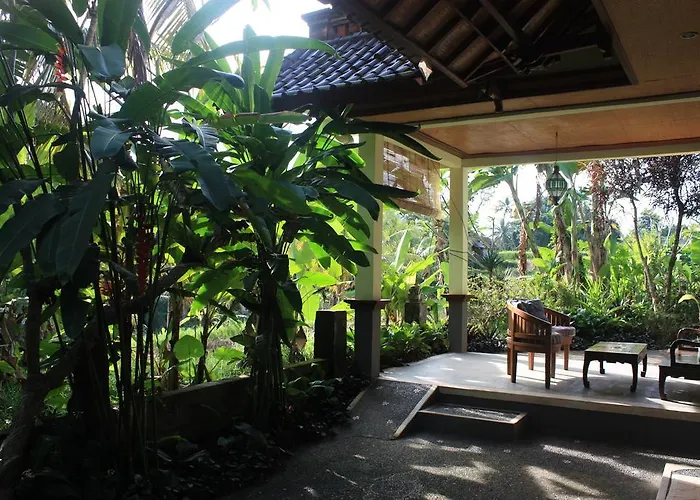 Guest house Wonder-land