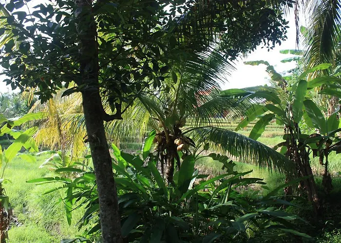 Guest house Wonder-land
