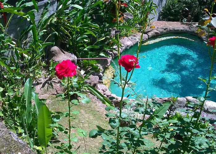 Guest house Wonder-land 3*