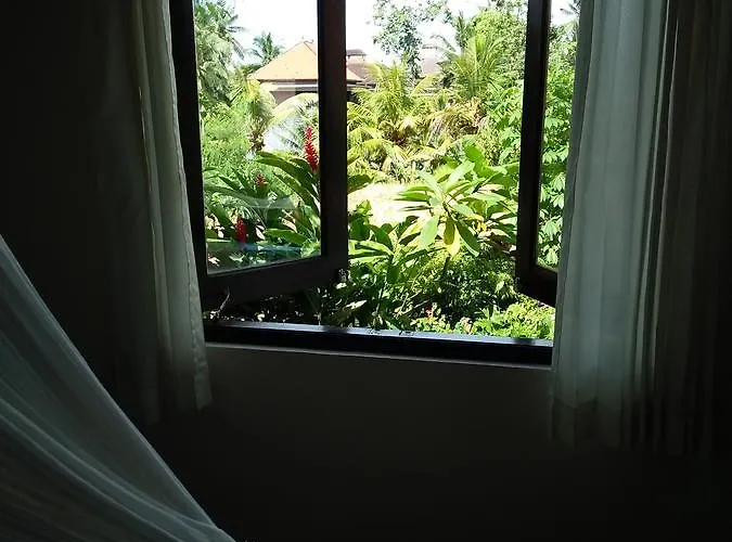 Guest house Wonder-land 3*